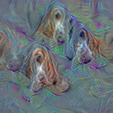 n02088094 Afghan hound, Afghan